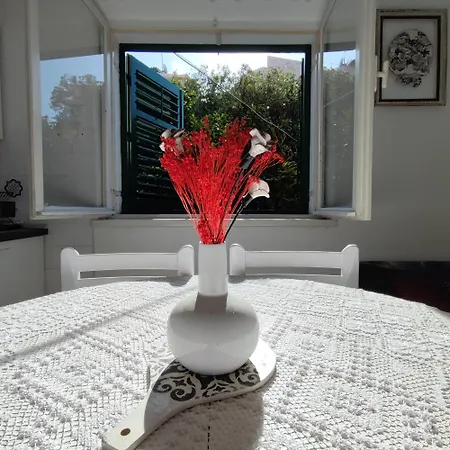 Apartman Janika *